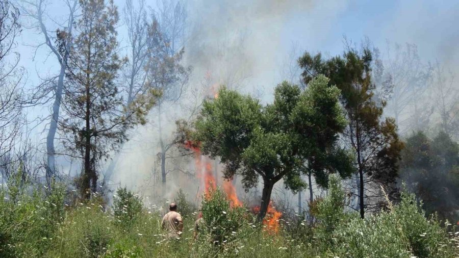 Antalya Valiliğinden Orman Yangınlarını Önlemek İçin Kritik Genelge