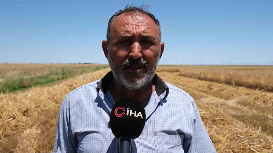 Aksaray’da Yağışlar Ürün Rekoltesini 2 Katına Çıkardı