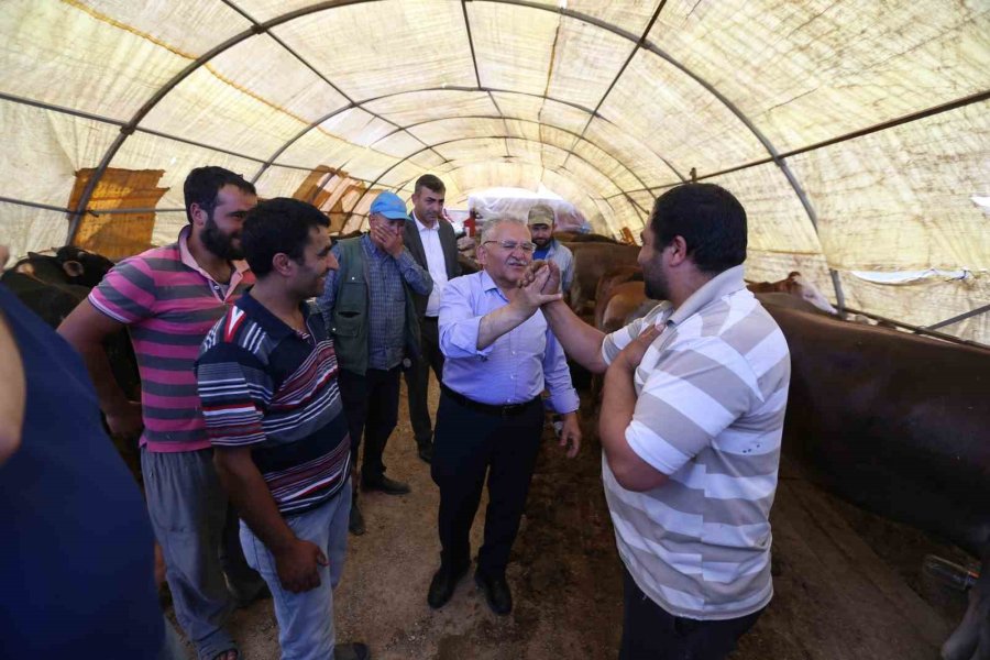 Başkan Büyükkılıç, Kurban Pazarında Sıkı Pazarlığa Katıldı