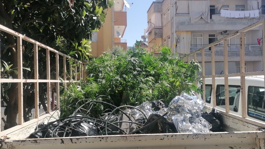 Karşılıklı İki Daireyi Aynı Anda Kiraladı, Birinde Oturdu Diğerinde Laboratuvar Kurup Uyuşturucu Yetiştirdi