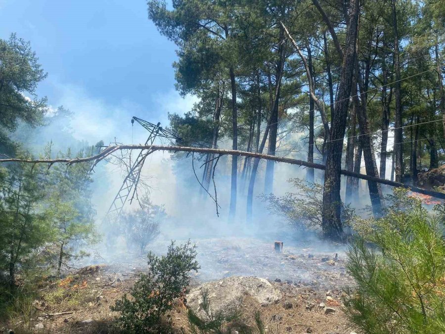 Antalya’da Orman Yangını