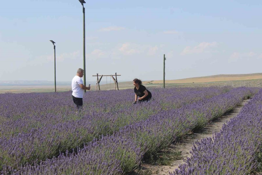 Karapınar’daki Lavanta Bahçesi Turistlerin Uğrak Noktası Oldu