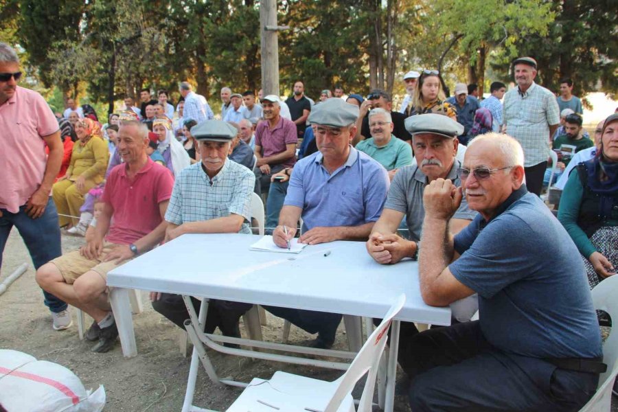 Eşeğe Saman Balyası Yüklemek İçin Kıyasıya Yarıştılar