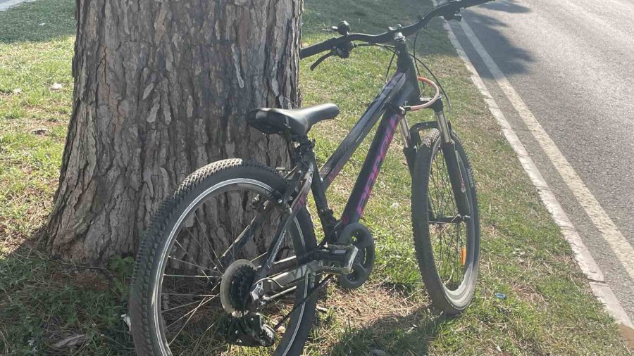 Polonyalı Sürücü Rus Çocuğa Çarptı: 1 Yaralı