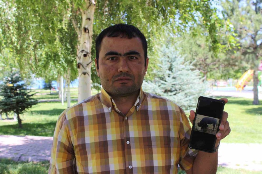 Önce Hastalıklı Kurbanlık Sattılar, Sonra Tehdit Ettiler