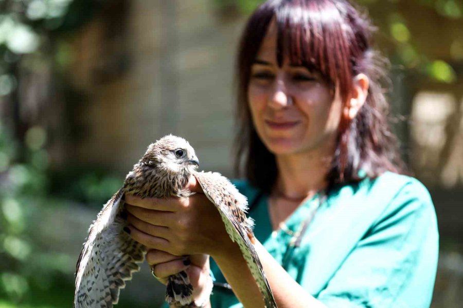 Antalya Doğal Yaşam Parkı’nda 3 Özel Misafir