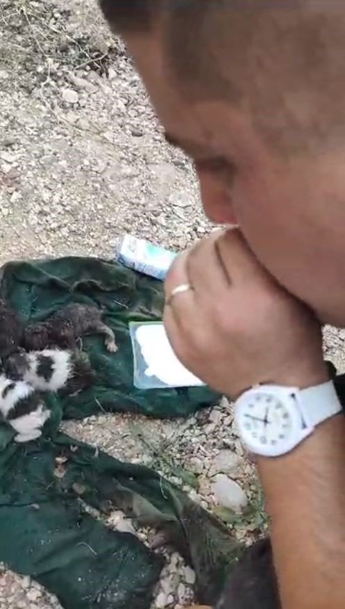 Dumandan Etkilenen Yavru Kediyi Kalp Masajı Ve Suni Teneffüsle Hayata Döndürdü