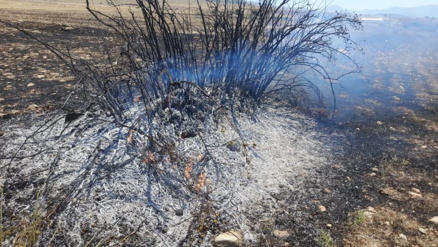 Çevreye Atılan Cam Ve Plastik Şişelere Dikkat: Anız Yangınına Sebep Oluyor