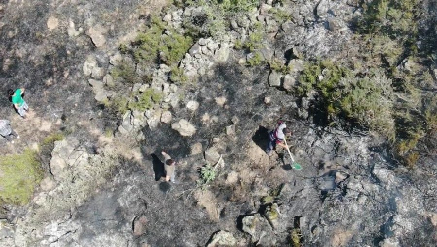 Çevreye Atılan Cam Ve Plastik Şişelere Dikkat: Anız Yangınına Sebep Oluyor