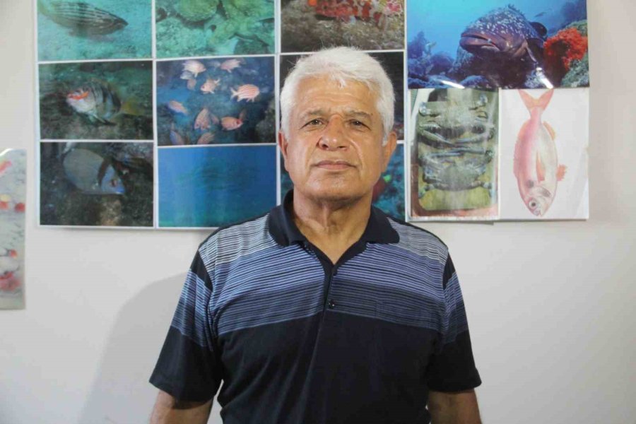 Mutfakların Yeni Lezzeti Aslan Balığı Olacak