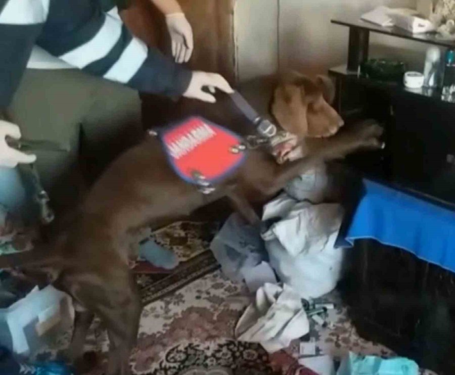 Uyuşturucu Tacirine Jandarma Darbesi: 1 Tutuklama