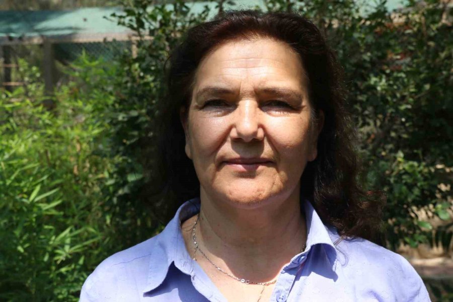 Kavurucu Sıcakta Maymunlar Özel Buzlu Meyve Kokteyliyle, Boz Ayı Ailesi İse Havuzda Serinliyor