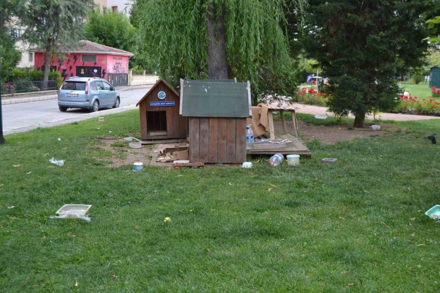 Böyle Köpek Besleme Olur Mu?