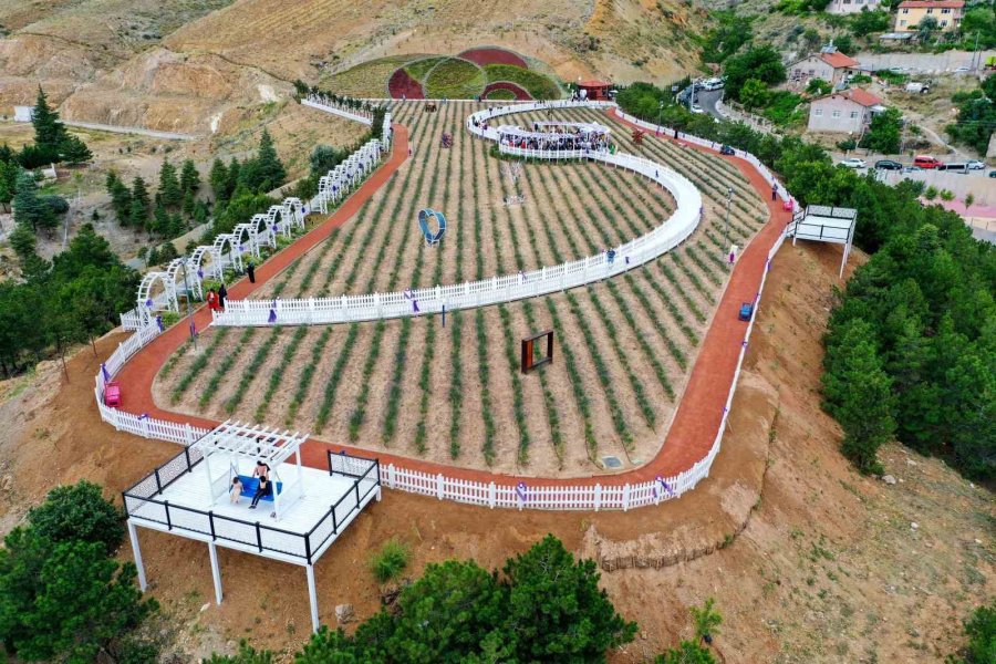 Meram Lavanta Bahçesi Açıldı