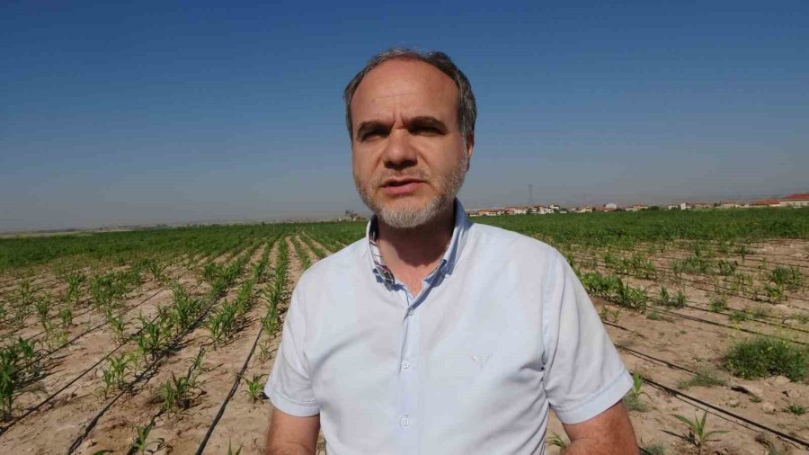 Niğde’de Tarlalar Dron İle İlaçlanıyor