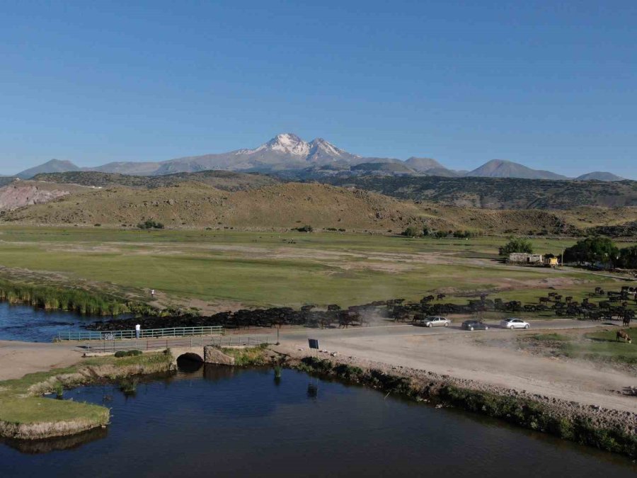 Burası Afrika Değil Kayseri