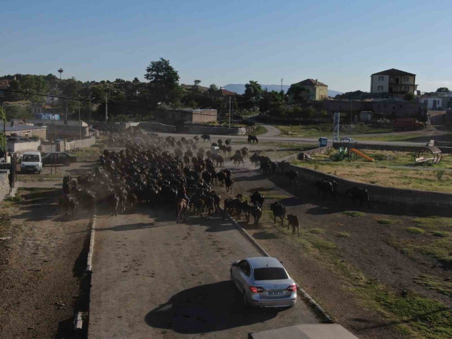 Burası Afrika Değil Kayseri