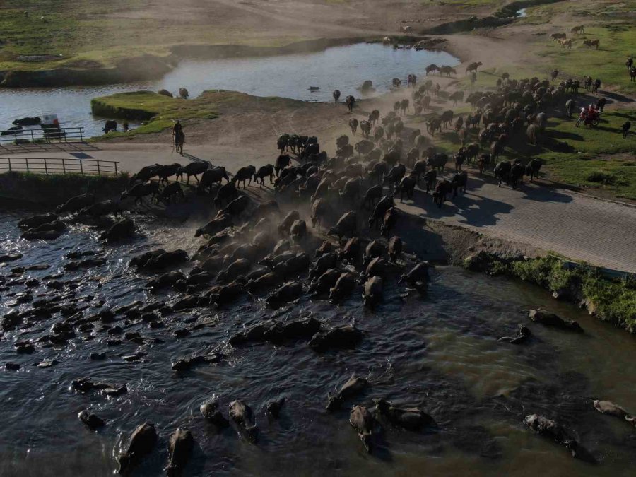 Burası Afrika Değil Kayseri