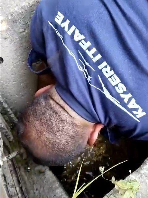 Mahsur Kalan Kaplumbağaları İtfaiye Kurtardı