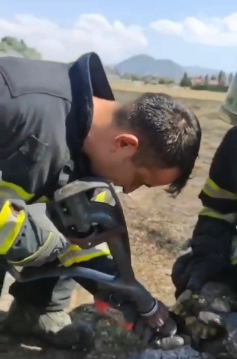 Mahsur Kalan Kaplumbağaları İtfaiye Kurtardı