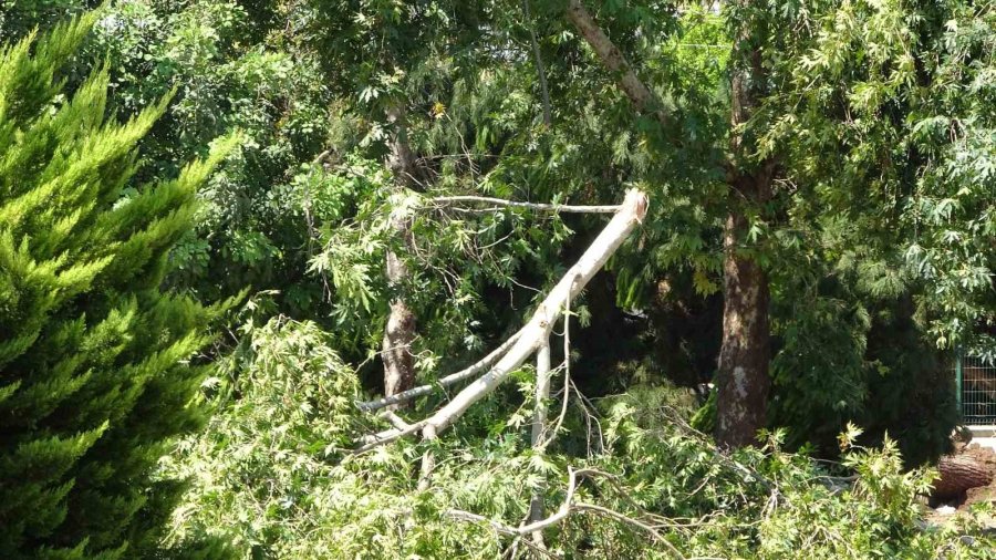Fırtına Minareyi Araçların Üzerine Devirdi: 2 Yaralı