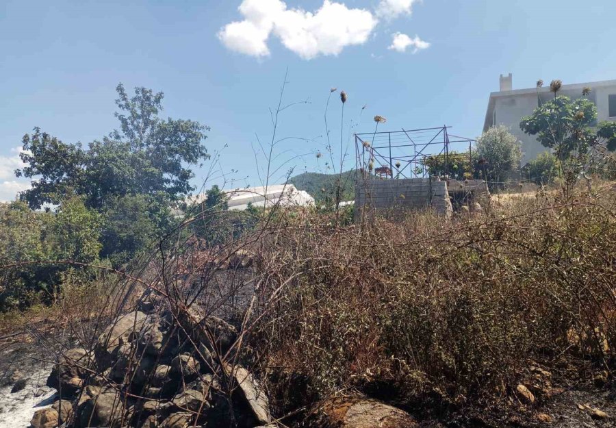 Alanya’da, Bahçe Yangınında Meyve Ağaçları Ve Sulama Sistemi Zarar Gördü