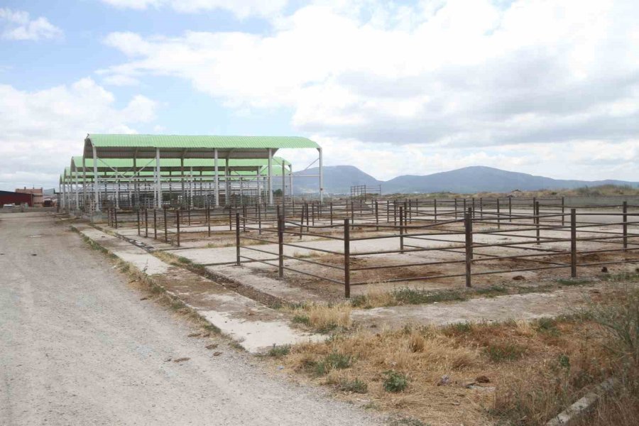 Beyşehir Hayvan Pazarı Şap Hastalığı Nedeniyle Kapatıldı