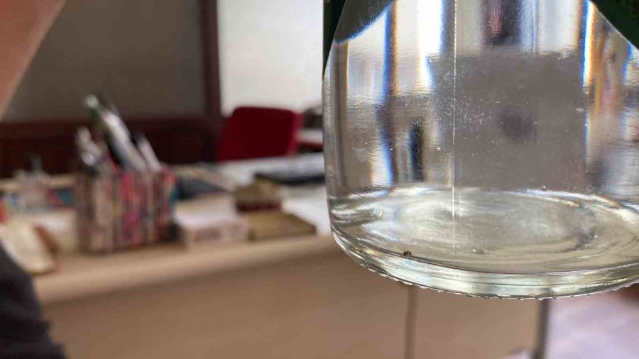 Kapalı İçki Şişesinin İçinde Şok Eden Görüntü