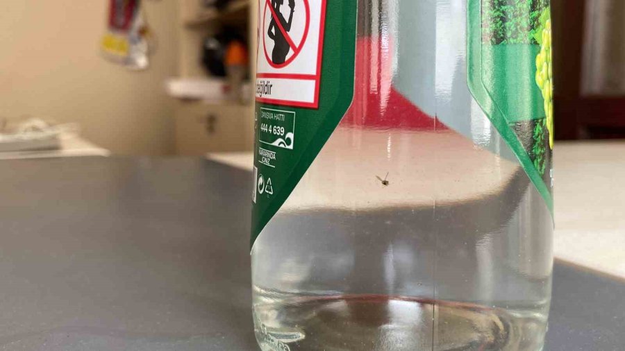 Kapalı İçki Şişesinin İçinde Şok Eden Görüntü