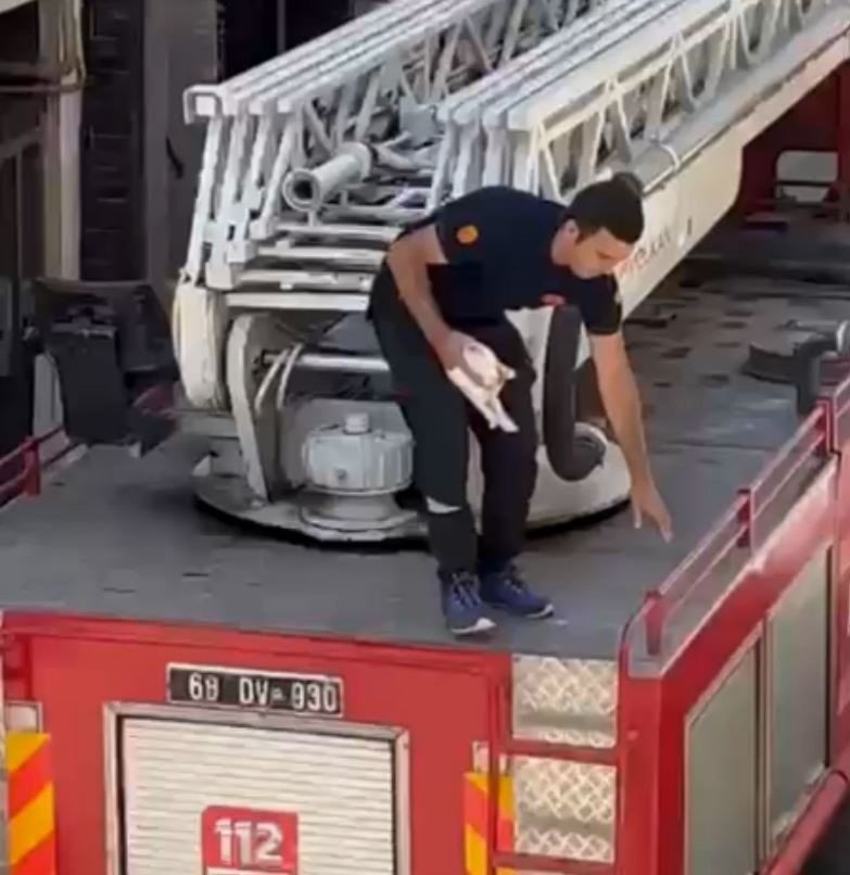 Balkonda Mahsur Kalan Yavru Kediyi İtfaiye Kurtardı