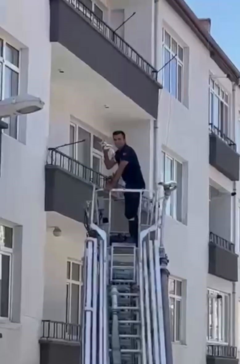 Balkonda Mahsur Kalan Yavru Kediyi İtfaiye Kurtardı
