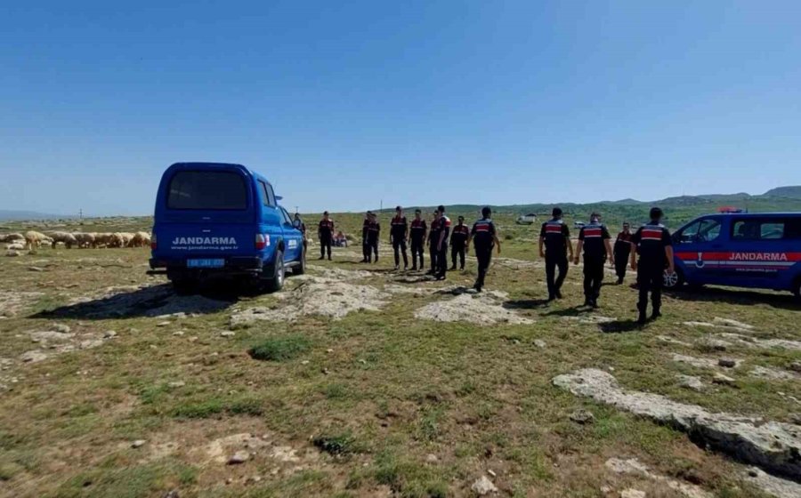 Jandarma Kayıp 100 Koyunu Dron İle 1 Saatte Buldu