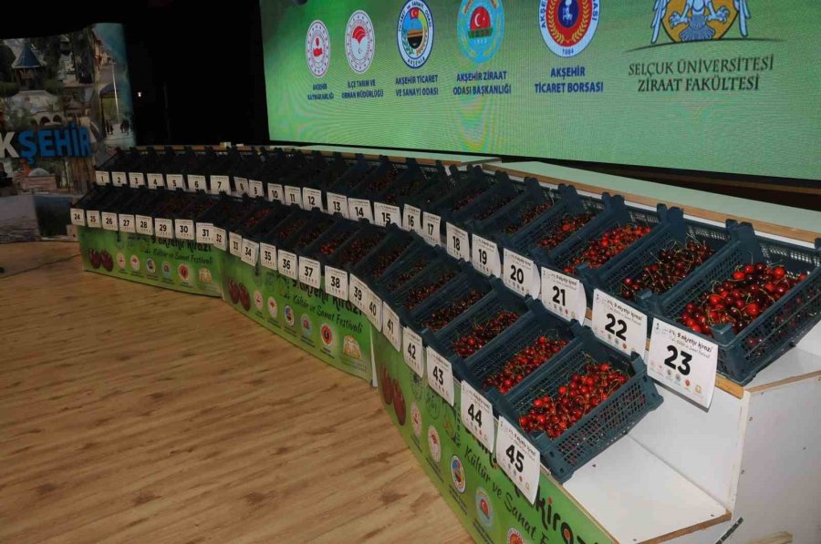 Akşehir Kirazı Kültür Ve Sanat Festivali’nde Çiftçiler Ödüllendirildi