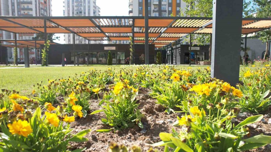 Mevlana Meydanı Rengarenk