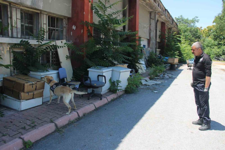 Uyuşturucu Tacirlerinin Korkulu Rüyası ’jack’