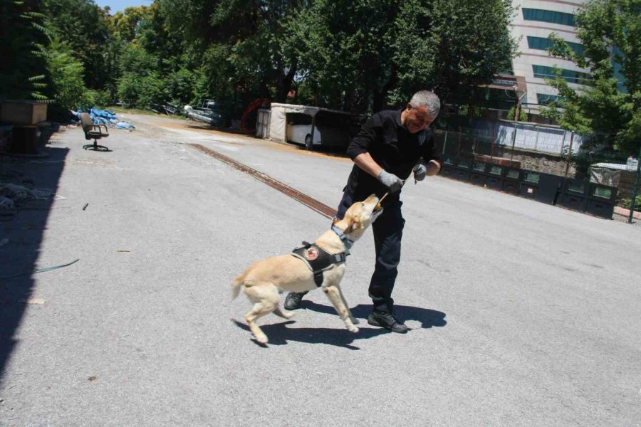 Uyuşturucu Tacirlerinin Korkulu Rüyası ’jack’