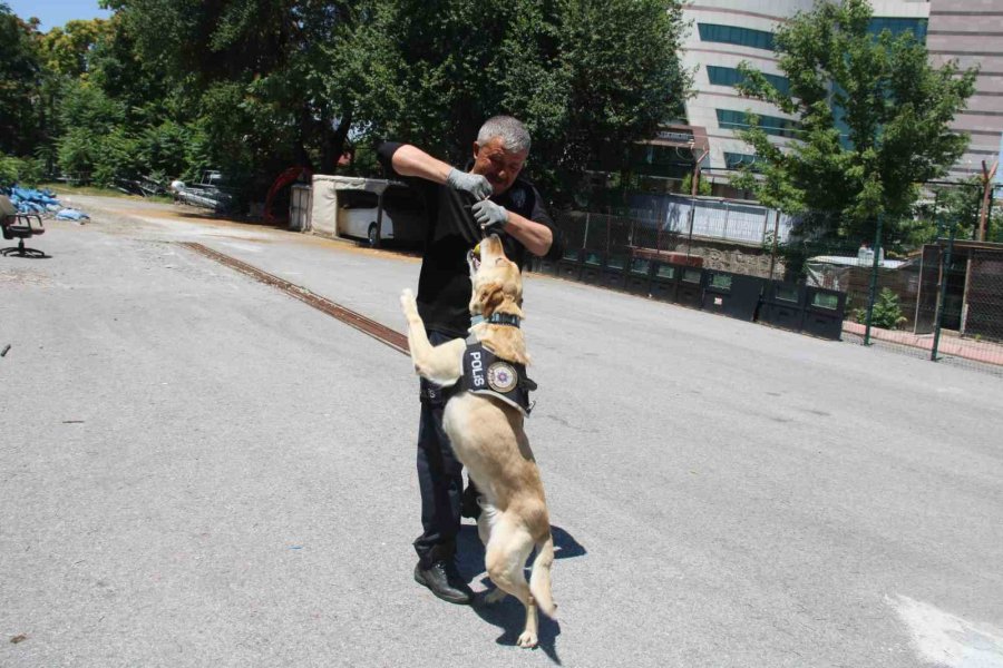 Uyuşturucu Tacirlerinin Korkulu Rüyası ’jack’