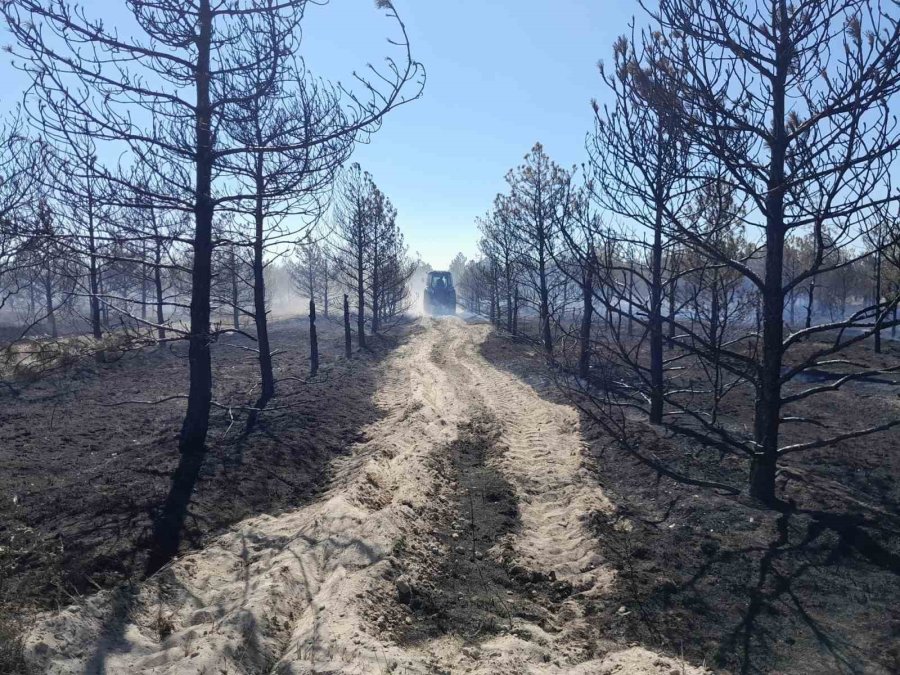 Konya’da Erozyon Önleme Sahası’nda Orman Yangını