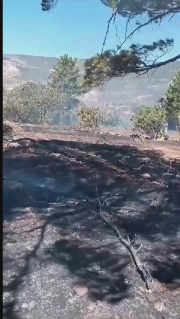 Kayseri Büyükşehir İtfaiyesi Yangın Bölgesinde