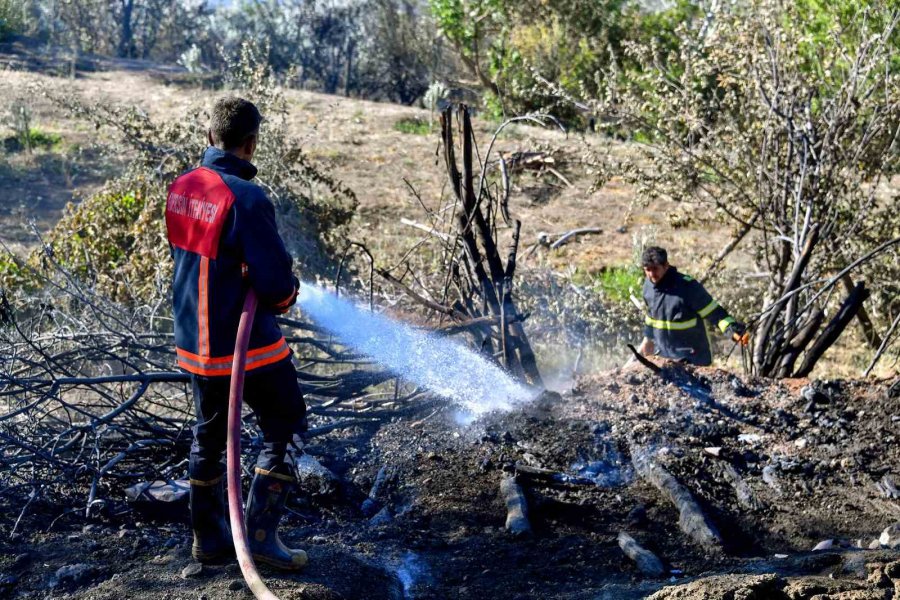 Mersin İtfaiyesi, Gülnar’daki Yangın Söndürme Çalışmalarına Katıldı