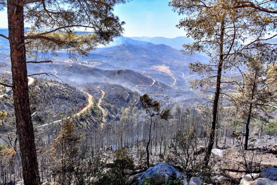 Mersin İtfaiyesi, Gülnar’daki Yangın Söndürme Çalışmalarına Katıldı