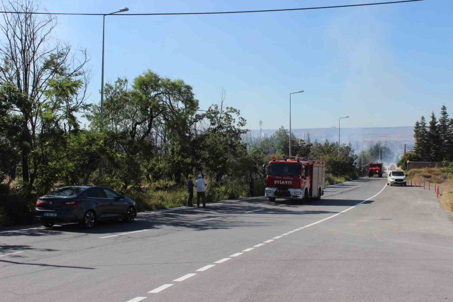 Çalılıkta Çıkan Yangında 40 Dönüm Alan Küle Döndü