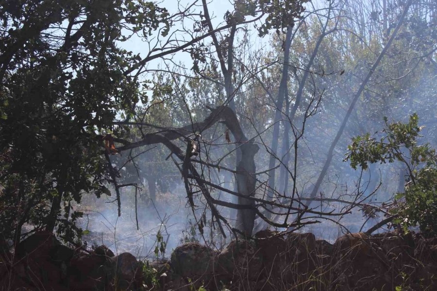 Çalılıkta Çıkan Yangında 40 Dönüm Alan Küle Döndü