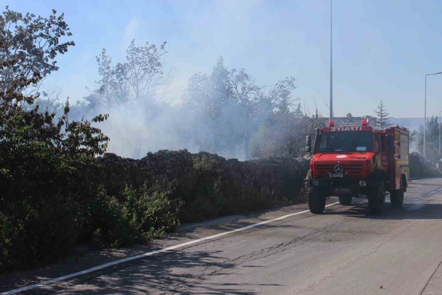 Çalılıkta Çıkan Yangında 40 Dönüm Alan Küle Döndü