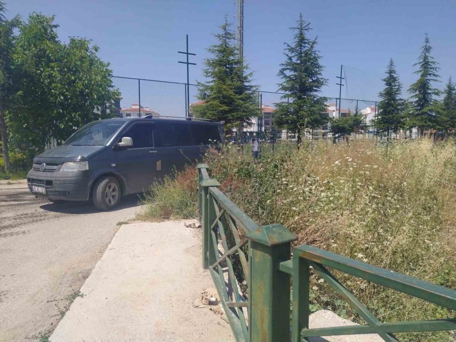 Bakımsızlıktan Uzayan Yabani Otlar Endişe Kaynağı