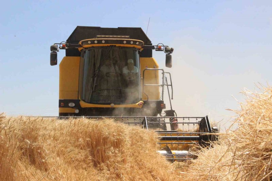 Karaman’da Alicantus Ekmeklik Buğdayın Hasadı Yapıldı