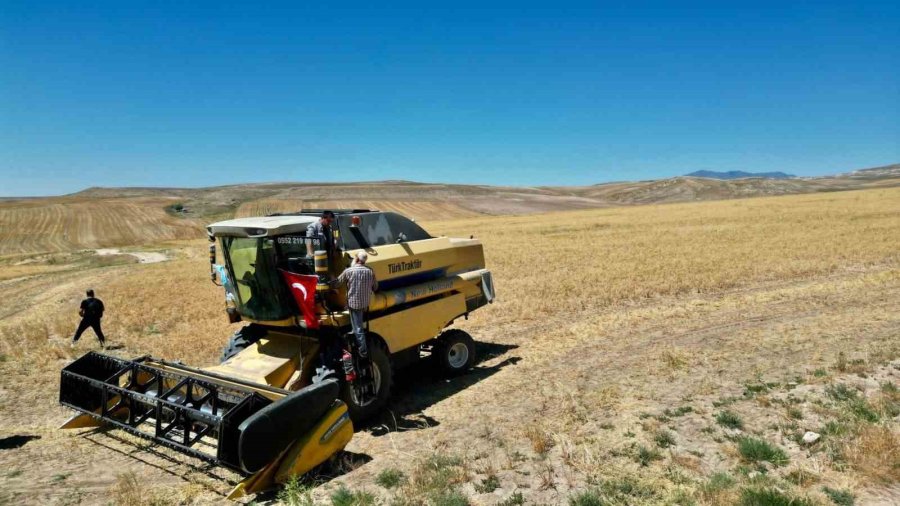 Aksaray Belediyesi Nohut Üretip İhtiyaç Sahiplerine Dağıtıyor