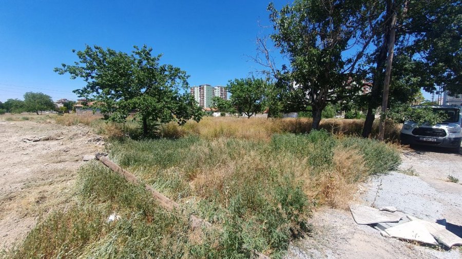 Kuru Ekmekle Yaşam Mücadelesi