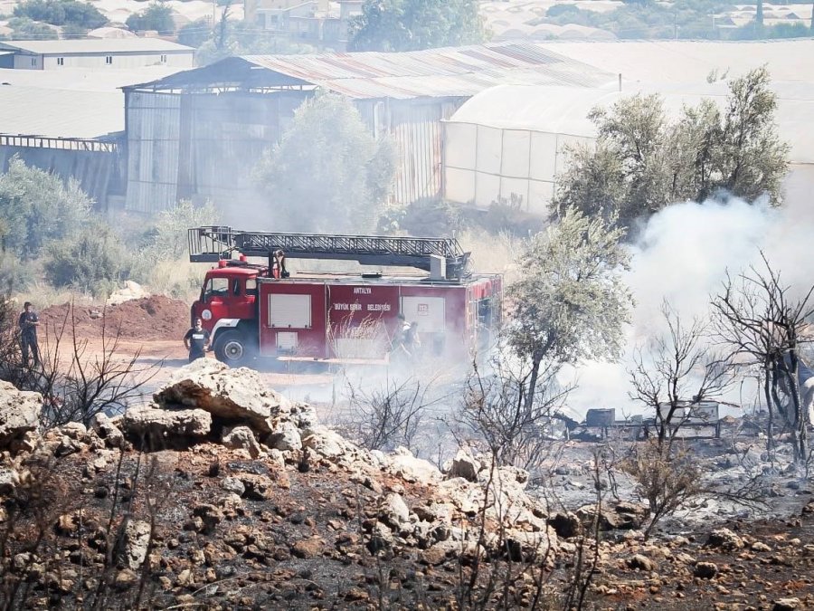 Antalya’da Çalılık Alanda Çıkan Yangın Kovanları Küle Çevirdi