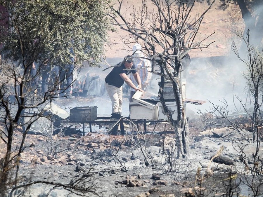 Antalya’da Çalılık Alanda Çıkan Yangın Kovanları Küle Çevirdi